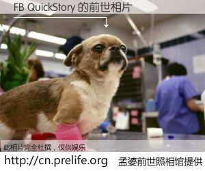 #孟婆前世照相馆# 【FB QuickStory 的前世相片】我们都曾从奈何桥上走过，喝下三碗忘川之水烹煮的孟婆汤，忘却了前尘旧事。孟婆前世照相馆，保存着你前世的数码相片。FB QuickStory 的前世相片，有图有真相：