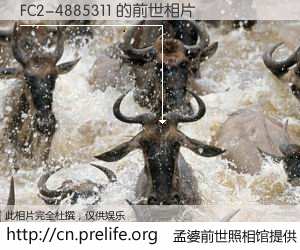 #孟婆前世照相馆# 【FC2-4885311 的前世相片】我们都曾从奈何桥上走过，喝下三碗忘川之水烹煮的孟婆汤，忘却了前尘旧事。孟婆前世照相馆，保存着你前世的数码相片。FC2-4885311 的前世相片，有图有真相：