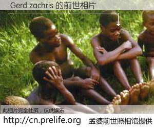 #孟婆前世照相馆# 【Gerd zachris 的前世相片】我们都曾从奈何桥上走过，喝下三碗忘川之水烹煮的孟婆汤，忘却了前尘旧事。孟婆前世照相馆，保存着你前世的数码相片。Gerd zachris 的前世相片，有图有真相：