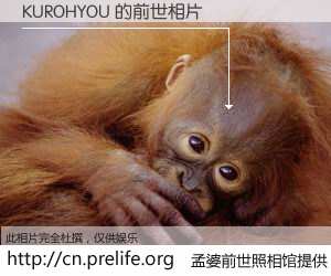 #孟婆前世照相馆# 【KUROHYOU 的前世相片】我们都曾从奈何桥上走过，喝下三碗忘川之水烹煮的孟婆汤，忘却了前尘旧事。孟婆前世照相馆，保存着你前世的数码相片。KUROHYOU 的前世相片，有图有真相：