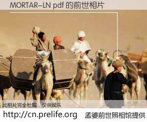 #孟婆前世照相馆# 【MORTAR-LN pdf 的前世相片】我们都曾从奈何桥上走过，喝下三碗忘川之水烹煮的孟婆汤，忘却了前尘旧事。孟婆前世照相馆，保存着你前世的数码相片。MORTAR-LN pdf 的前世相片，有图有真相：