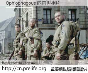 #孟婆前世照相馆# 【Ophiophagous 的前世相片】我们都曾从奈何桥上走过，喝下三碗忘川之水烹煮的孟婆汤，忘却了前尘旧事。孟婆前世照相馆，保存着你前世的数码相片。Ophiophagous 的前世相片，有图有真相：