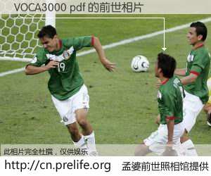 #孟婆前世照相馆# 【VOCA3000 pdf 的前世相片】我们都曾从奈何桥上走过，喝下三碗忘川之水烹煮的孟婆汤，忘却了前尘旧事。孟婆前世照相馆，保存着你前世的数码相片。VOCA3000 pdf 的前世相片，有图有真相：