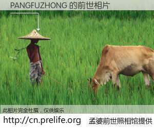 #孟婆前世照相馆# 【PANGFUZHONG 的前世相片】我们都曾从奈何桥上走过，喝下三碗忘川之水烹煮的孟婆汤，忘却了前尘旧事。孟婆前世照相馆，保存着你前世的数码相片。PANGFUZHONG 的前世相片，有图有真相：