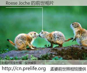 #孟婆前世照相馆# 【Roese Joche 的前世相片】我们都曾从奈何桥上走过，喝下三碗忘川之水烹煮的孟婆汤，忘却了前尘旧事。孟婆前世照相馆，保存着你前世的数码相片。Roese Joche 的前世相片，有图有真相：