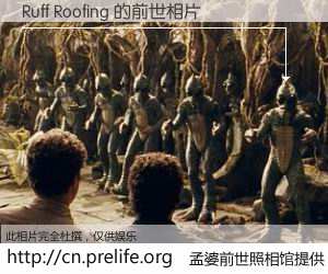 #孟婆前世照相馆# 【Ruff Roofing 的前世相片】我们都曾从奈何桥上走过，喝下三碗忘川之水烹煮的孟婆汤，忘却了前尘旧事。孟婆前世照相馆，保存着你前世的数码相片。Ruff Roofing 的前世相片，有图有真相：