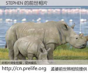 #孟婆前世照相馆# 【STEPHEN 的前世相片】我们都曾从奈何桥上走过，喝下三碗忘川之水烹煮的孟婆汤，忘却了前尘旧事。孟婆前世照相馆，保存着你前世的数码相片。STEPHEN 的前世相片，有图有真相：