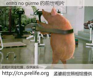 #孟婆前世照相馆# 【entra no gurme 的前世相片】我们都曾从奈何桥上走过，喝下三碗忘川之水烹煮的孟婆汤，忘却了前尘旧事。孟婆前世照相馆，保存着你前世的数码相片。entra no gurme 的前世相片，有图有真相：