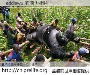 #孟婆前世照相馆# 【eddiewu 的前世相片】我们都曾从奈何桥上走过，喝下三碗忘川之水烹煮的孟婆汤，忘却了前尘旧事。孟婆前世照相馆，保存着你前世的数码相片。eddiewu 的前世相片，有图有真相：