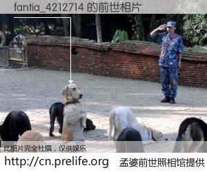 #孟婆前世照相馆# 【fantia_4212714 的前世相片】我们都曾从奈何桥上走过，喝下三碗忘川之水烹煮的孟婆汤，忘却了前尘旧事。孟婆前世照相馆，保存着你前世的数码相片。fantia_4212714 的前世相片，有图有真相：