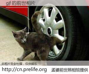 #孟婆前世照相馆# 【gjf 的前世相片】我们都曾从奈何桥上走过，喝下三碗忘川之水烹煮的孟婆汤，忘却了前尘旧事。孟婆前世照相馆，保存着你前世的数码相片。gjf 的前世相片，有图有真相：