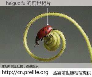 #孟婆前世照相馆# 【heiguaifu 的前世相片】我们都曾从奈何桥上走过，喝下三碗忘川之水烹煮的孟婆汤，忘却了前尘旧事。孟婆前世照相馆，保存着你前世的数码相片。heiguaifu 的前世相片，有图有真相：