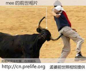 #孟婆前世照相馆# 【mee 的前世相片】我们都曾从奈何桥上走过，喝下三碗忘川之水烹煮的孟婆汤，忘却了前尘旧事。孟婆前世照相馆，保存着你前世的数码相片。mee 的前世相片，有图有真相：