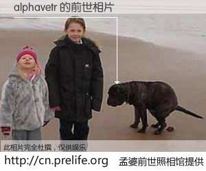 #孟婆前世照相馆# 【alphavetr 的前世相片】我们都曾从奈何桥上走过，喝下三碗忘川之水烹煮的孟婆汤，忘却了前尘旧事。孟婆前世照相馆，保存着你前世的数码相片。alphavetr 的前世相片，有图有真相：