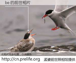 #孟婆前世照相馆# 【be 的前世相片】我们都曾从奈何桥上走过，喝下三碗忘川之水烹煮的孟婆汤，忘却了前尘旧事。孟婆前世照相馆，保存着你前世的数码相片。be 的前世相片，有图有真相：