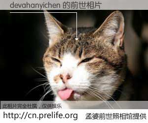 #孟婆前世照相馆# 【devahanyichen 的前世相片】我们都曾从奈何桥上走过，喝下三碗忘川之水烹煮的孟婆汤，忘却了前尘旧事。孟婆前世照相馆，保存着你前世的数码相片。devahanyichen 的前世相片，有图有真相：