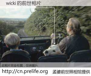 #孟婆前世照相馆# 【wicki 的前世相片】我们都曾从奈何桥上走过，喝下三碗忘川之水烹煮的孟婆汤，忘却了前尘旧事。孟婆前世照相馆，保存着你前世的数码相片。wicki 的前世相片，有图有真相：