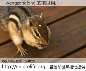 #孟婆前世照相馆# 【wangzongfang 的前世相片】我们都曾从奈何桥上走过，喝下三碗忘川之水烹煮的孟婆汤，忘却了前尘旧事。孟婆前世照相馆，保存着你前世的数码相片。wangzongfang 的前世相片，有图有真相：