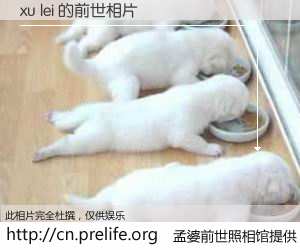 #孟婆前世照相馆# 【xu lei 的前世相片】我们都曾从奈何桥上走过，喝下三碗忘川之水烹煮的孟婆汤，忘却了前尘旧事。孟婆前世照相馆，保存着你前世的数码相片。xu lei 的前世相片，有图有真相：