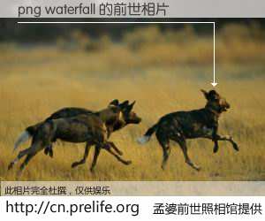 #孟婆前世照相馆# 【png waterfall 的前世相片】我们都曾从奈何桥上走过，喝下三碗忘川之水烹煮的孟婆汤，忘却了前尘旧事。孟婆前世照相馆，保存着你前世的数码相片。png waterfall 的前世相片，有图有真相：
