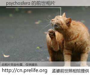 #孟婆前世照相馆# 【psychosfera 的前世相片】我们都曾从奈何桥上走过，喝下三碗忘川之水烹煮的孟婆汤，忘却了前尘旧事。孟婆前世照相馆，保存着你前世的数码相片。psychosfera 的前世相片，有图有真相：