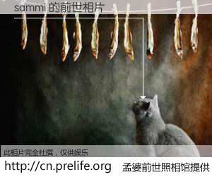 #孟婆前世照相馆# 【sammi 的前世相片】我们都曾从奈何桥上走过，喝下三碗忘川之水烹煮的孟婆汤，忘却了前尘旧事。孟婆前世照相馆，保存着你前世的数码相片。sammi 的前世相片，有图有真相：