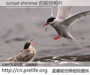 #孟婆前世照相馆# 【sunset shimmer 的前世相片】我们都曾从奈何桥上走过，喝下三碗忘川之水烹煮的孟婆汤，忘却了前尘旧事。孟婆前世照相馆，保存着你前世的数码相片。sunset shimmer 的前世相片，有图有真相：