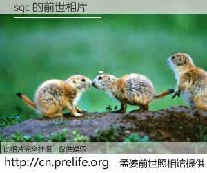 #孟婆前世照相馆# 【sqc 的前世相片】我们都曾从奈何桥上走过，喝下三碗忘川之水烹煮的孟婆汤，忘却了前尘旧事。孟婆前世照相馆，保存着你前世的数码相片。sqc 的前世相片，有图有真相：