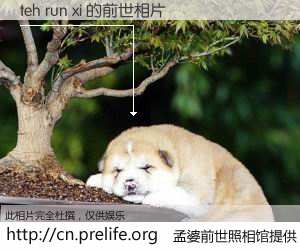 #孟婆前世照相馆# 【teh run xi 的前世相片】我们都曾从奈何桥上走过，喝下三碗忘川之水烹煮的孟婆汤，忘却了前尘旧事。孟婆前世照相馆，保存着你前世的数码相片。teh run xi 的前世相片，有图有真相：