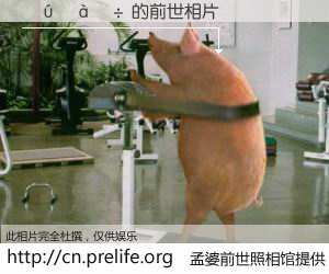 #孟婆前世照相馆# 【����� 的前世相片】我们都曾从奈何桥上走过，喝下三碗忘川之水烹煮的孟婆汤，忘却了前尘旧事。孟婆前世照相馆，保存着你前世的数码相片。����� 的前世相片，有图有真相：