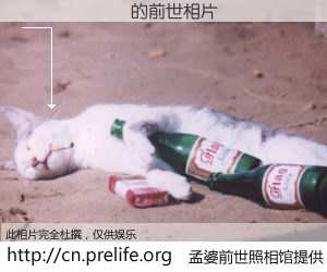 #孟婆前世照相馆# 【������ 的前世相片】我们都曾从奈何桥上走过，喝下三碗忘川之水烹煮的孟婆汤，忘却了前尘旧事。孟婆前世照相馆，保存着你前世的数码相片。������ 的前世相片，有图有真相：