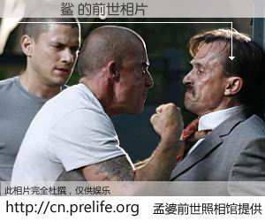 #孟婆前世照相馆# 【���鲨 的前世相片】我们都曾从奈何桥上走过，喝下三碗忘川之水烹煮的孟婆汤，忘却了前尘旧事。孟婆前世照相馆，保存着你前世的数码相片。���鲨 的前世相片，有图有真相：