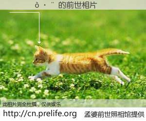#孟婆前世照相馆# 【�ٱƴ� 的前世相片】我们都曾从奈何桥上走过，喝下三碗忘川之水烹煮的孟婆汤，忘却了前尘旧事。孟婆前世照相馆，保存着你前世的数码相片。�ٱƴ� 的前世相片，有图有真相：