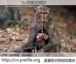 #孟婆前世照相馆# 【����Yu 的前世相片】我们都曾从奈何桥上走过，喝下三碗忘川之水烹煮的孟婆汤，忘却了前尘旧事。孟婆前世照相馆，保存着你前世的数码相片。����Yu 的前世相片，有图有真相：
