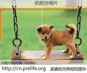 #孟婆前世照相馆# 【������ 的前世相片】我们都曾从奈何桥上走过，喝下三碗忘川之水烹煮的孟婆汤，忘却了前尘旧事。孟婆前世照相馆，保存着你前世的数码相片。������ 的前世相片，有图有真相：