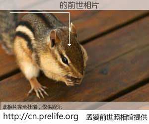 #孟婆前世照相馆# 【������ 的前世相片】我们都曾从奈何桥上走过，喝下三碗忘川之水烹煮的孟婆汤，忘却了前尘旧事。孟婆前世照相馆，保存着你前世的数码相片。������ 的前世相片，有图有真相：