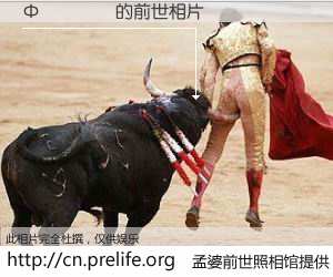 #孟婆前世照相馆# 【Ф���� 的前世相片】我们都曾从奈何桥上走过，喝下三碗忘川之水烹煮的孟婆汤，忘却了前尘旧事。孟婆前世照相馆，保存着你前世的数码相片。Ф���� 的前世相片，有图有真相：