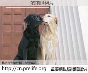 #孟婆前世照相馆# 【��Ϊ�� 的前世相片】我们都曾从奈何桥上走过，喝下三碗忘川之水烹煮的孟婆汤，忘却了前尘旧事。孟婆前世照相馆，保存着你前世的数码相片。��Ϊ�� 的前世相片，有图有真相：