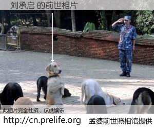 #孟婆前世照相馆# 【刘承启 的前世相片】我们都曾从奈何桥上走过，喝下三碗忘川之水烹煮的孟婆汤，忘却了前尘旧事。孟婆前世照相馆，保存着你前世的数码相片。刘承启 的前世相片，有图有真相：