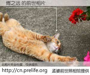 #孟婆前世照相馆# 【傅之远 的前世相片】我们都曾从奈何桥上走过，喝下三碗忘川之水烹煮的孟婆汤，忘却了前尘旧事。孟婆前世照相馆，保存着你前世的数码相片。傅之远 的前世相片，有图有真相：