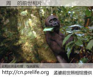 #孟婆前世照相馆# 【周彧 的前世相片】我们都曾从奈何桥上走过，喝下三碗忘川之水烹煮的孟婆汤，忘却了前尘旧事。孟婆前世照相馆，保存着你前世的数码相片。周彧 的前世相片，有图有真相：