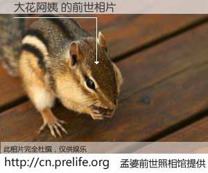 #孟婆前世照相馆# 【大花阿姨 的前世相片】我们都曾从奈何桥上走过，喝下三碗忘川之水烹煮的孟婆汤，忘却了前尘旧事。孟婆前世照相馆，保存着你前世的数码相片。大花阿姨 的前世相片，有图有真相：