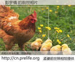 #孟婆前世照相馆# 【彭宇情 的前世相片】我们都曾从奈何桥上走过，喝下三碗忘川之水烹煮的孟婆汤，忘却了前尘旧事。孟婆前世照相馆，保存着你前世的数码相片。彭宇情 的前世相片，有图有真相：