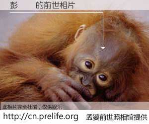 #孟婆前世照相馆# 【彭珮珮 的前世相片】我们都曾从奈何桥上走过，喝下三碗忘川之水烹煮的孟婆汤，忘却了前尘旧事。孟婆前世照相馆，保存着你前世的数码相片。彭珮珮 的前世相片，有图有真相：