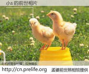 #孟婆前世照相馆# 【小s 的前世相片】我们都曾从奈何桥上走过，喝下三碗忘川之水烹煮的孟婆汤，忘却了前尘旧事。孟婆前世照相馆，保存着你前世的数码相片。小s 的前世相片，有图有真相：