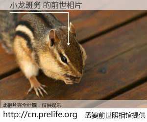 #孟婆前世照相馆# 【小龙班务 的前世相片】我们都曾从奈何桥上走过，喝下三碗忘川之水烹煮的孟婆汤，忘却了前尘旧事。孟婆前世照相馆，保存着你前世的数码相片。小龙班务 的前世相片，有图有真相：