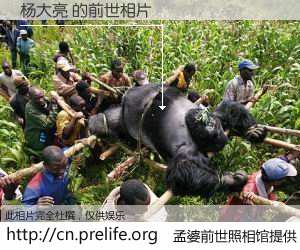 #孟婆前世照相馆# 【杨大亮 的前世相片】我们都曾从奈何桥上走过，喝下三碗忘川之水烹煮的孟婆汤，忘却了前尘旧事。孟婆前世照相馆，保存着你前世的数码相片。杨大亮 的前世相片，有图有真相：