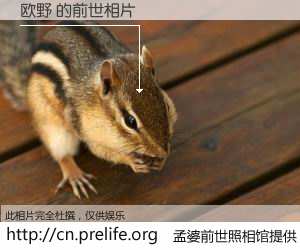 #孟婆前世照相馆# 【欧野 的前世相片】我们都曾从奈何桥上走过，喝下三碗忘川之水烹煮的孟婆汤，忘却了前尘旧事。孟婆前世照相馆，保存着你前世的数码相片。欧野 的前世相片，有图有真相：