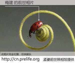 #孟婆前世照相馆# 【梅建 的前世相片】我们都曾从奈何桥上走过，喝下三碗忘川之水烹煮的孟婆汤，忘却了前尘旧事。孟婆前世照相馆，保存着你前世的数码相片。梅建 的前世相片，有图有真相：