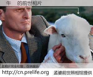 #孟婆前世照相馆# 【牛頓 的前世相片】我们都曾从奈何桥上走过，喝下三碗忘川之水烹煮的孟婆汤，忘却了前尘旧事。孟婆前世照相馆，保存着你前世的数码相片。牛頓 的前世相片，有图有真相：